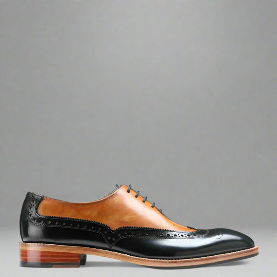 Brown and black dress shoe on a white background