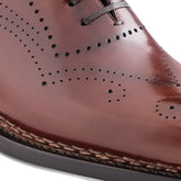 Close-up of a brown leather shoe with perforated design on a white background